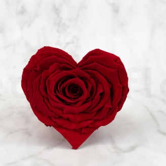 Stabilized Heart rose - Box of 4 - Red