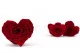 Rosa preservada en Forma de Coraz&oacute;n Rojo (x4) 7