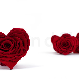 Rose Coeur stabilisée - Boîte de 4 - Rouge