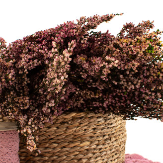 Bruyère stabilisée - Bouquet - Rose