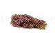 Konserviertes Heidekraut Hellrosa 6