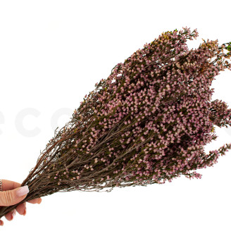 Stabilisierte Heidekraut - Strau&szlig; - Rosa