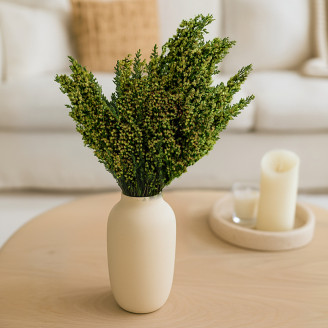 Bruyère stabilisée - Bouquet - Vert