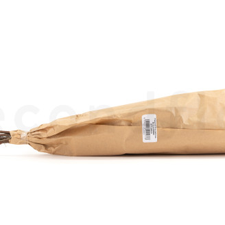 Brezo Preservado - Ramo - Verde