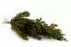 Preserved Heather Green 7