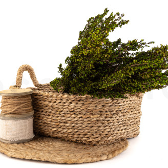 Preserved Heather - Bouquet - Green