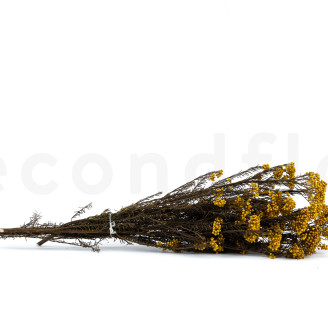 Diosmi stabilizzato - Mazzo - Giallo