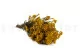 Preserved Diosmi Yellow 3