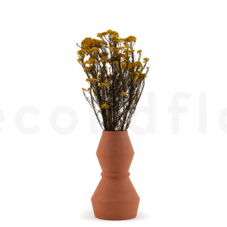 Diosmi Stabilized - Bouquet - Yellow