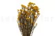 Preserved Diosmi Yellow 2