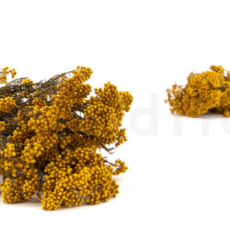 Diosmi stabilizzato - Mazzo - Giallo