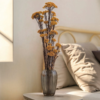 Diosmi Stabilized - Bouquet - Yellow