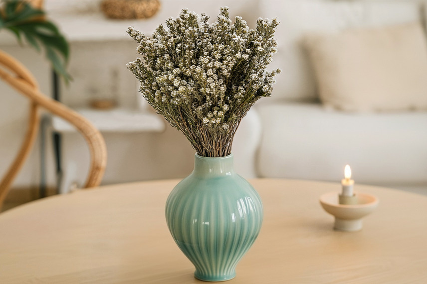 Coton Phylica stabilis&eacute; - Bouquet - Cr&egrave;me