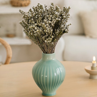 Phylica cotton Preserved - Bouquet - Cream