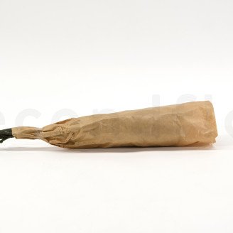 Phylica cotton Stabilized - Bouquet - Cream