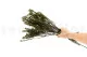 Cotone Phylica stabilizzato 8