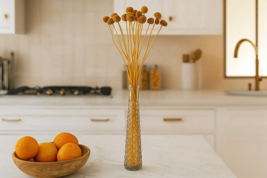 Craspedia stabilizzata - Mazzo - Honey Yellow