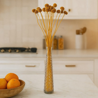 Craspedia Stabilis&eacute; - Bouquet - Honey Yellow