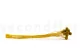 Craspedia preservada Honey Yellow 8