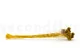 Craspedia preservada Honey Yellow 9