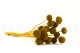 Craspedia preservada Honey Yellow 3