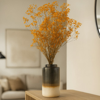Gypsophila Preserved - Orange