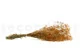 Preserved Gypsophila Orange 9