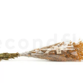Preserved Gypsophila Orange