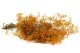 Gypsophile stabilis&eacute; Orange 5