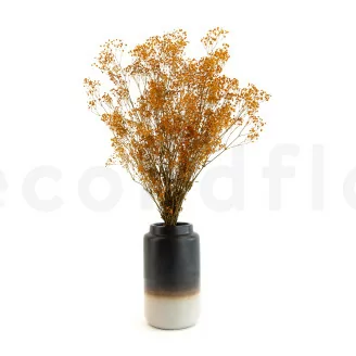 Preserved Gypsophila Orange