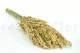 Pampa Grass stabilizzata 3