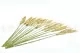 Pampa Grass stabilizzata 5