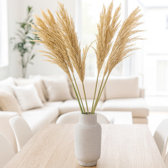 Preserved Pampa Grass - Ivory