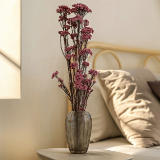 Diosmi preservato - Mazzo - Rosa chiaro