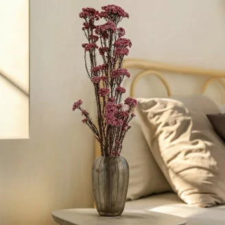 Diosmi stabilizzato Rosa chiaro