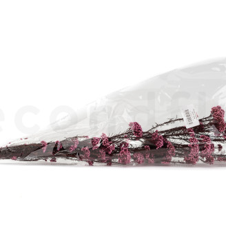 Diosmi stabilizzato - Mazzo - Rosa chiaro