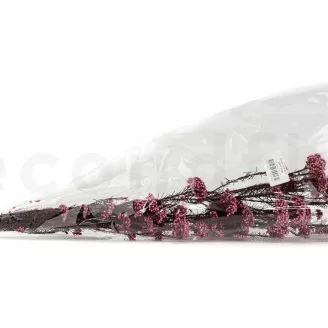 Diosmi stabilizzato Rosa chiaro