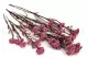 Diosmi stabilizzato Rosa chiaro 8