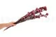 Diosmi stabilizzato Rosa chiaro 9