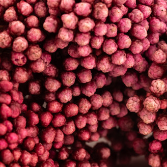 Diosmi preservato - Mazzo - Rosa chiaro