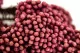 Diosmi stabilizzato Rosa chiaro 4