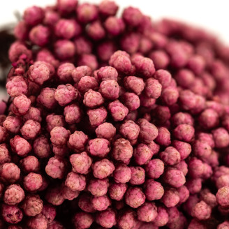 Diosmi stabilizzato - Mazzo - Rosa chiaro
