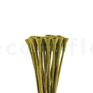 Pique à Tiger en papier - 24 Unités - Vert