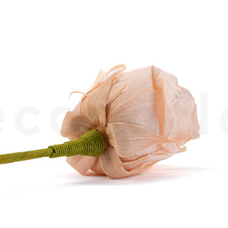 Blumenstängel aus Papier - 24 Stück - Grün