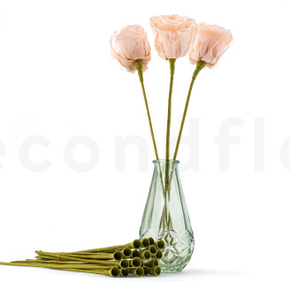 Blumenstängel aus Papier - 24 Stück - Grün