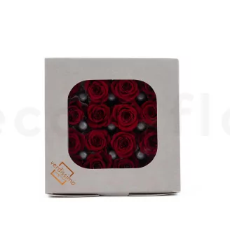 Preserved Princess Rose Red (x16)