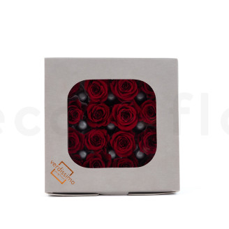 Rose Princess Stabilisiert - Verpackung 16 St. - Rot