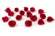 Rose Princess stabilis&eacute;e Rouge (x16) 3