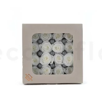 Preserved Princess Rose White (x16)