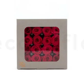 Preserved Princess Rose Pink (x16)
